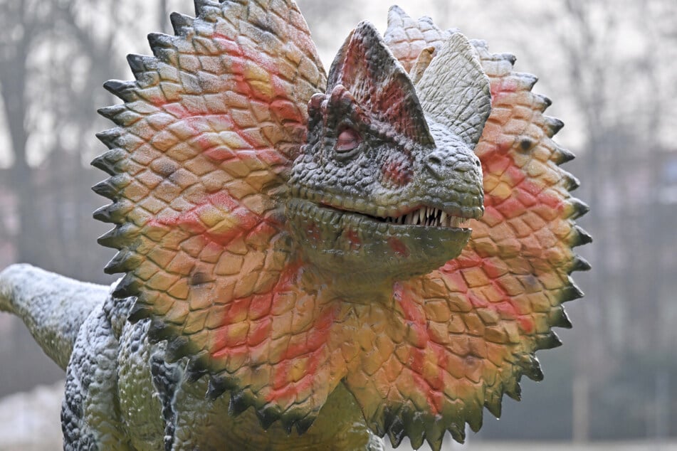 Scharfe Zähne, krasser Kragen. Die Urzeitechsen sind durchaus furchteinflößend.
