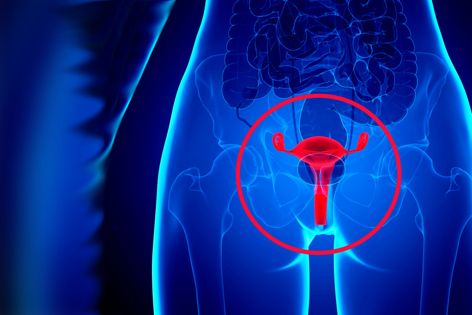 A computer illustration of a normal uterus.