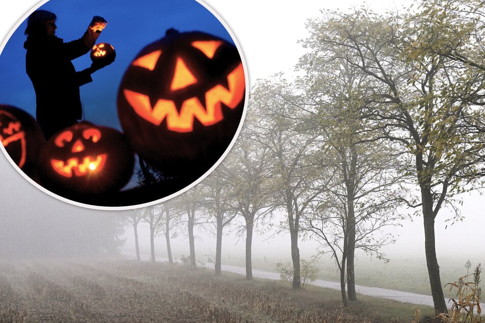 Dichte Nebelschwaden passend zum Grusel-Fest: Halloween wird feucht und kalt