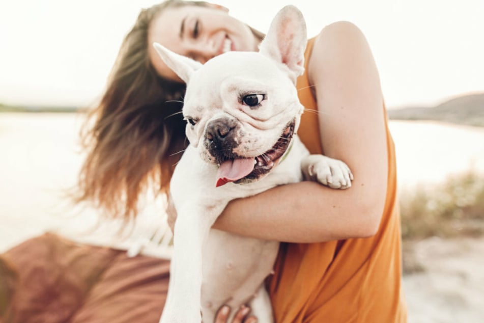 Studie enthüllt Der Herzschlag von Hunden erhöht sich, wenn man &quot;Ich