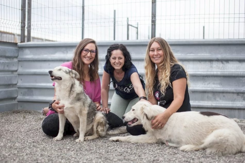 Sie retten Tiere in Deutschland und im Ausland: Svenja Gruszeczka (1. Vorsitzende, li.), Delia Botea (Rumänisches Partnertierheim, mittig) und Carina Gohmann (2. Vorsitzende, re.).