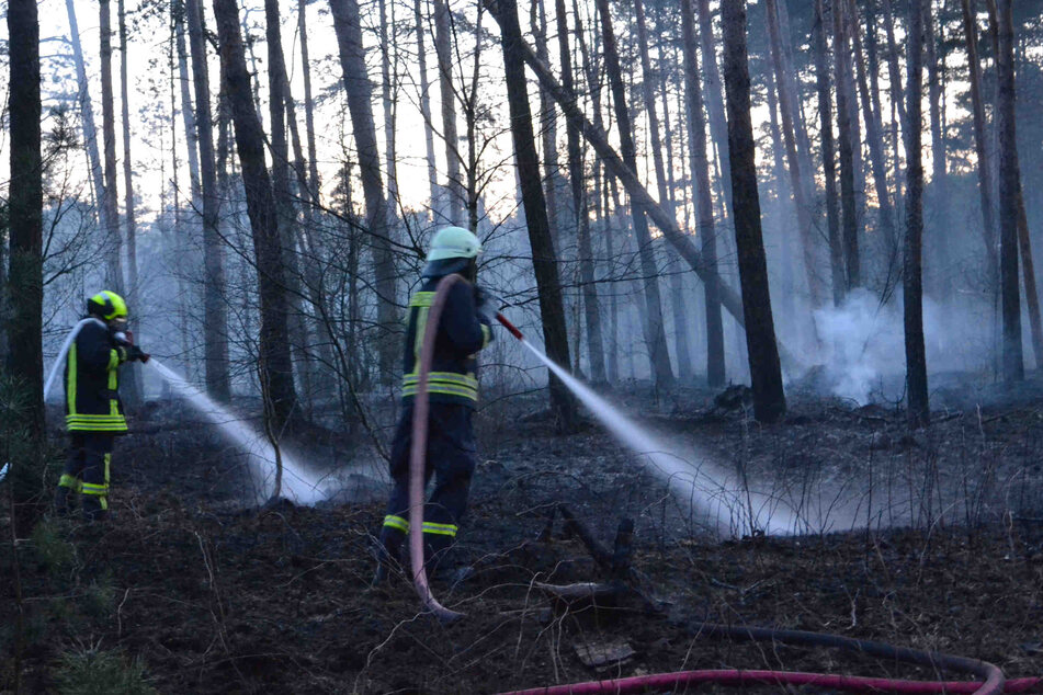 Die Kräfte sorgten für ein Ende der Flammen.