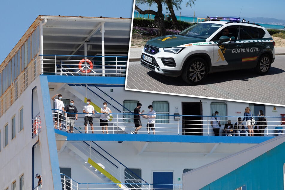 Tierisches Todesdrama: 27 Jagdhunde sterben qualvoll auf Malle-Fähre