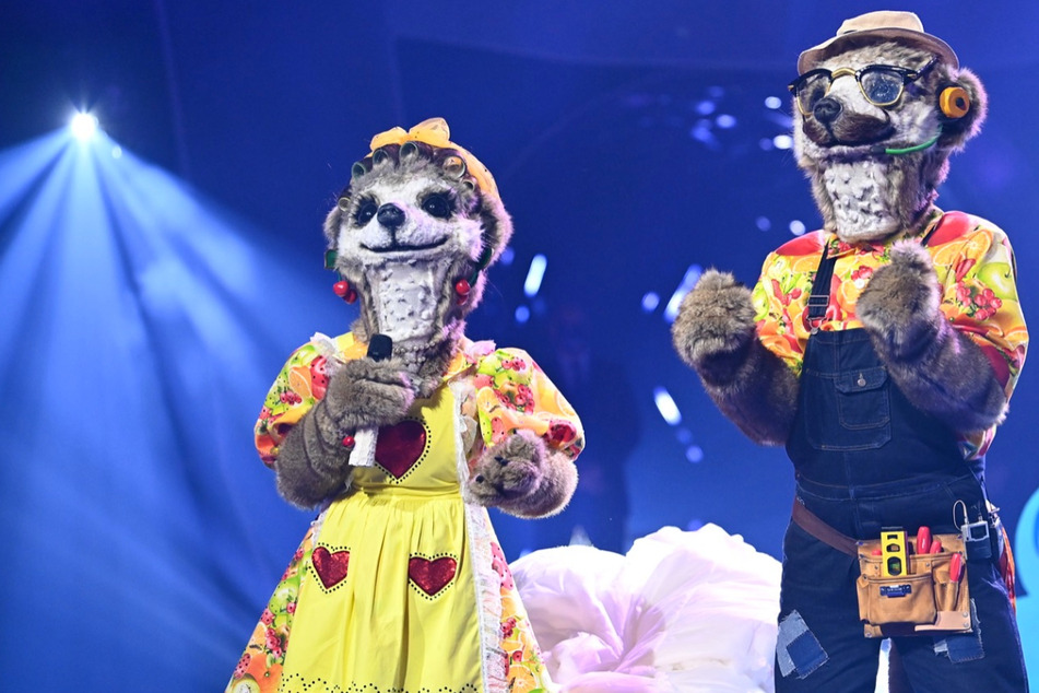 Promi-Paar bei "The Masked Singer" enttarnt? Stecken hinter den Erdmännchen in Wahrheit...