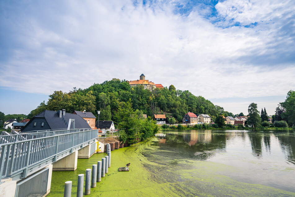 Burg Schönfels