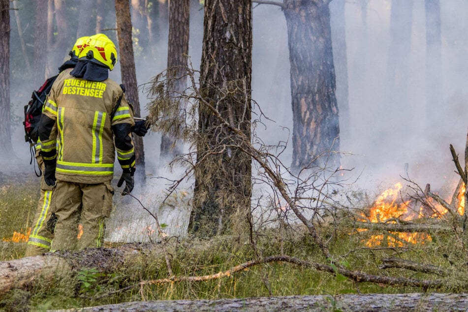 2000 Quadratmeter betroffen: Feuerwehr wegen Waldbrand stundenlang im Einsatz