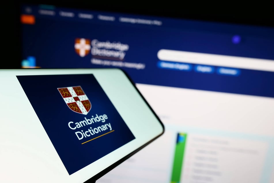 New entrants to the Cambridge Dictionary include "skibidi," "delulu," and "tradwife."