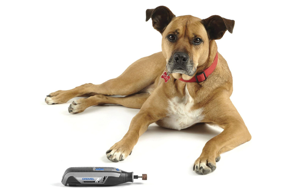 Want to get into a better grooming groove? The Dremel 7760-PGK 4V Pet Grooming Kit has you covered.