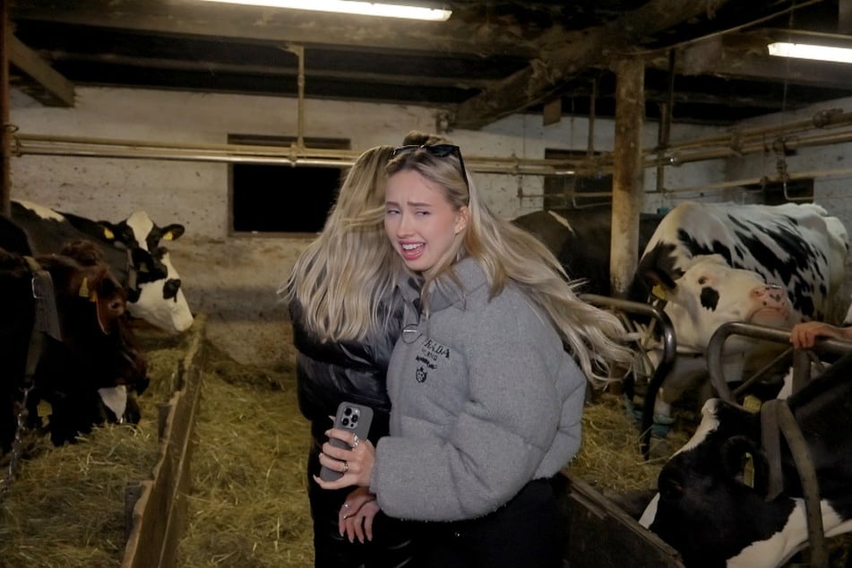 Davina (22, l.) und Shania Geiss (21) widmen sich in Österreich der Stallarbeit.