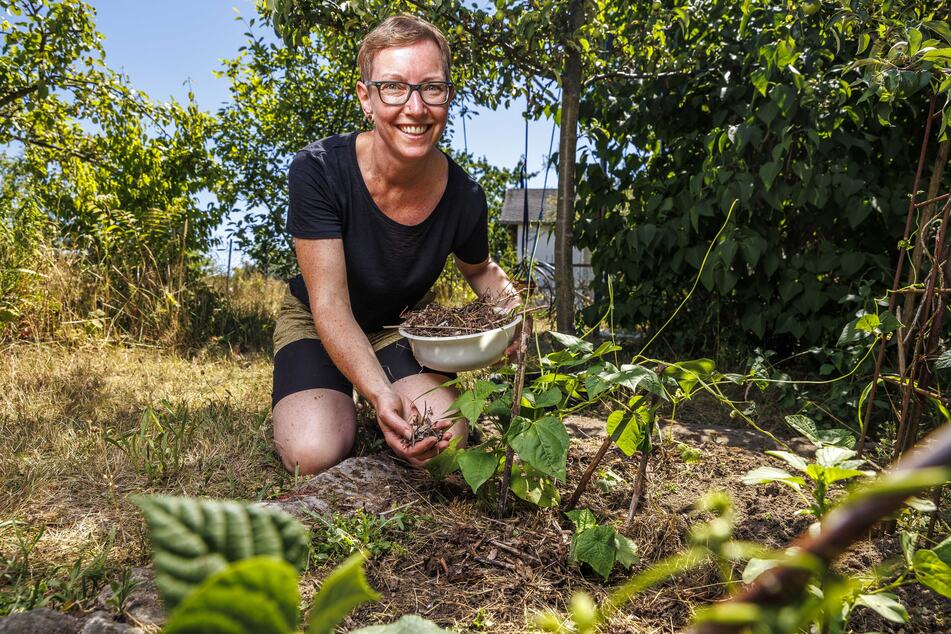 Janine Häser (40) versucht, die Feuchtigkeit in den Beeten mit Mulch zu speichern. Trotz der Hitze bleibt ihr Kleingarten ein Rückzugsort für sie.