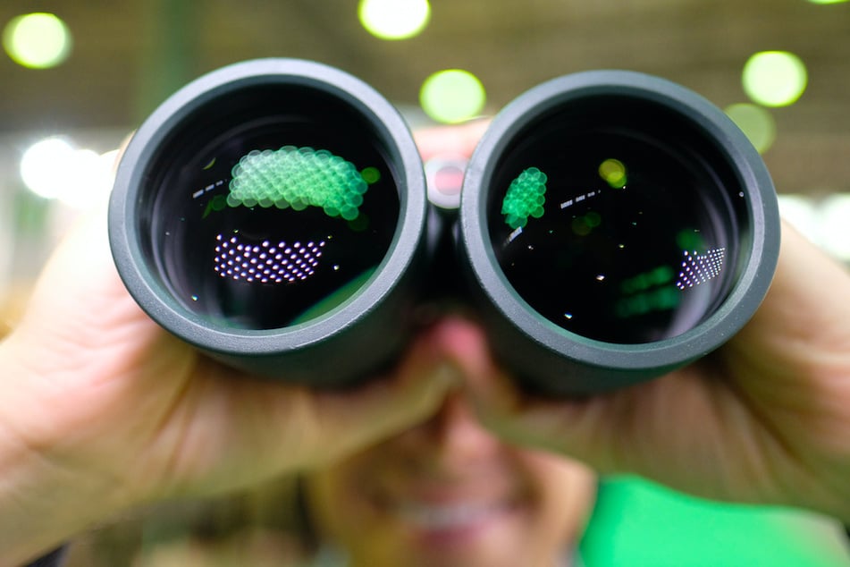 Mit dem Fernglas auf Vogelbeobachtung zu gehen, verbessert laut einer Studie das Wohlbefinden. (Symbolbild)