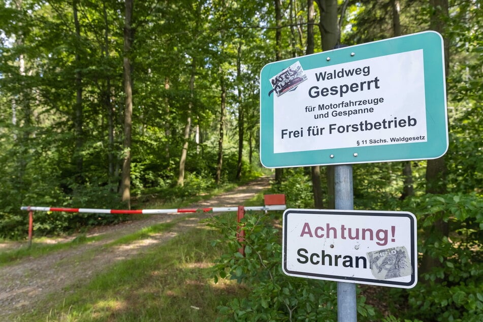 Wer den Hartmannsdorfer Forst besucht, sollte die Waldwege nicht verlassen.