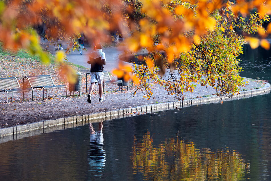 Ein Jogger nutzt das gute Herbstwetter für einen Lauf: In NRW startet die neue Woche heiter bis wolkig und trocken.