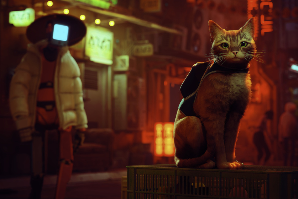 In "Stray" schlüpft Ihr in die Rolle einer Katze und erkundet eine geheimnisvolle, futuristische Stadt. Das funktioniert so gut, dass unser Tester Eric bei seinem Story-Durchlauf kaum den Controller weglegen wollte.