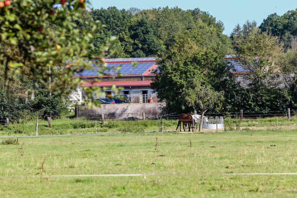 Das Foto zeigt den Reiterhof bei Hofheim, auf dem die Leiche gefunden wurde.