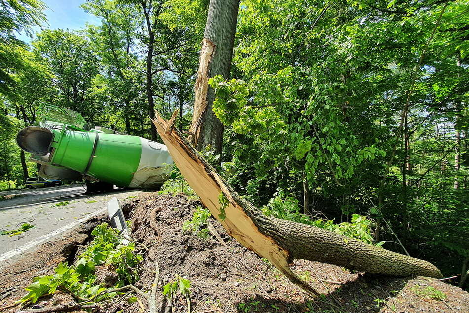 Der Betonmischer krachte gegen einen Baum und landete dann auf der Seite.