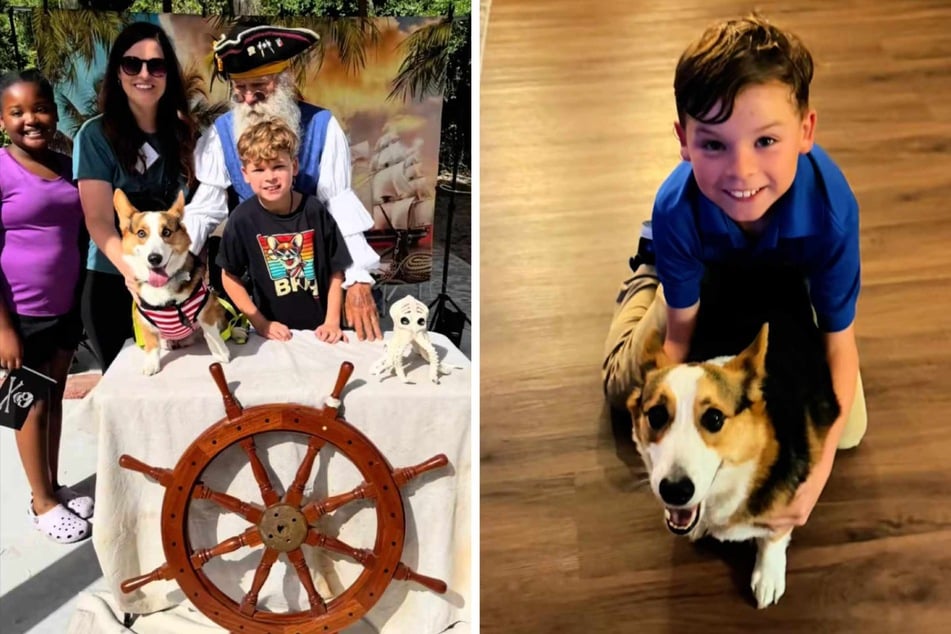 Viewers were delighted to see the excited children's reaction to their new Corgi dog!