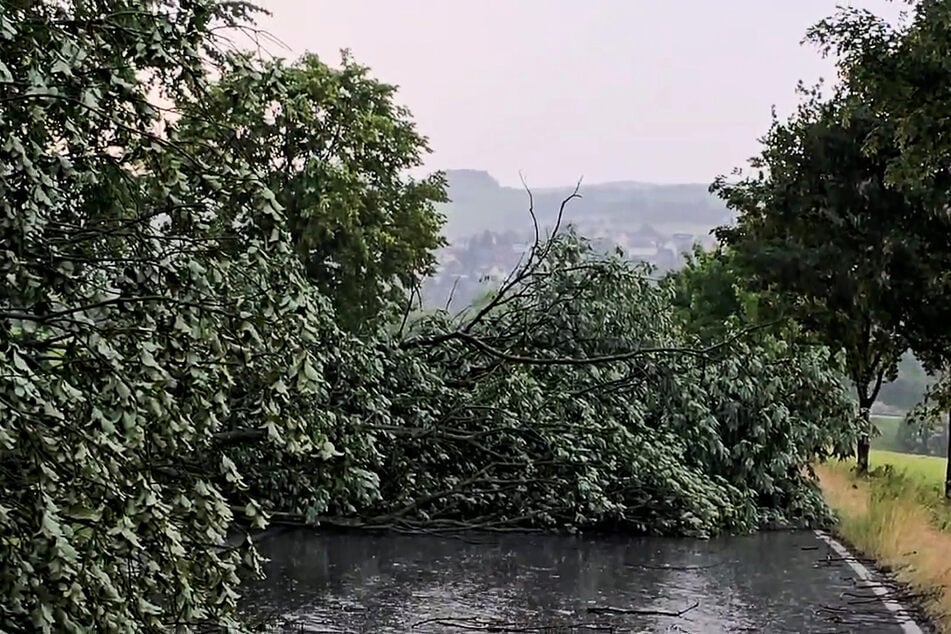 Ein kurzes, aber heftiges Unwetter zog am Montagabend über das Weimarer Land hinweg. (Symbolfoto)