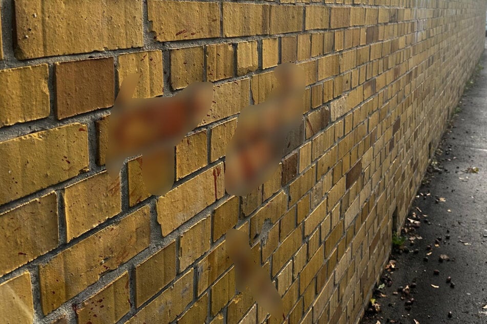 Blutspritzer an der Mauer zeugen von einer brutalen Auseinandersetzung.