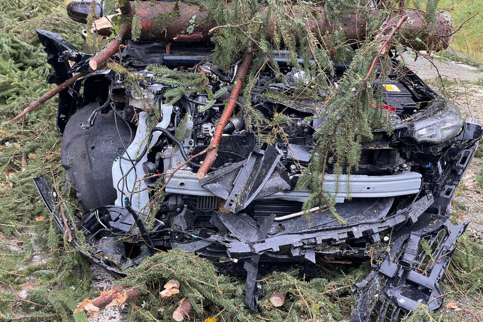Bei Masserberg am Rennsteig krachte eine Autofahrerin in einen auf die Straße umgestürzten Baum.