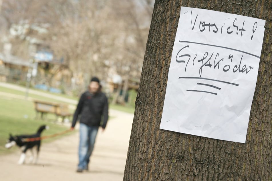 Tödliche Falle bei Heilbronn: Terrier und Pudel sterben nach Gift-Anschlag