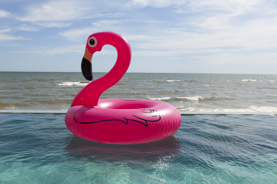 Auf einem aufblasbaren Gummi-Flamingo hatte der Mann den Rhein in Bonn überquert. (Symbolbild)