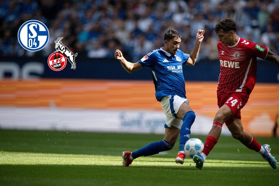 Beim ersten Zweitliga-Duell: Köln reicht auf Schalke eine starke Halbzeit