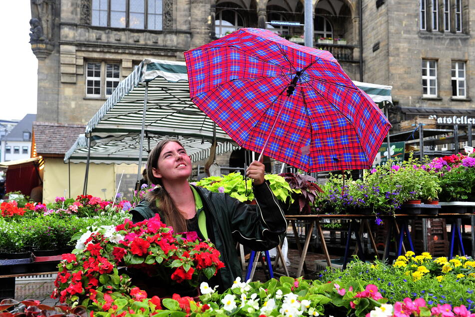 Gärtnerin Michaela Richter (21) von der Gärtnerei Pause stand am gestrigen Freitag trotz schlechten Wetters auf dem Markt.