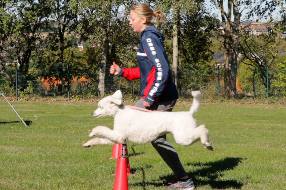 Lilith Wolf (18) und ihr Hund "Crazy In Love" überwinden lässig eine Hürde.