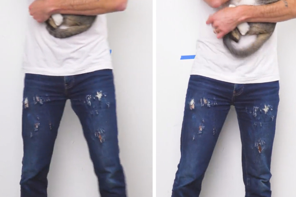 Could cat-created denim be the next big thing?