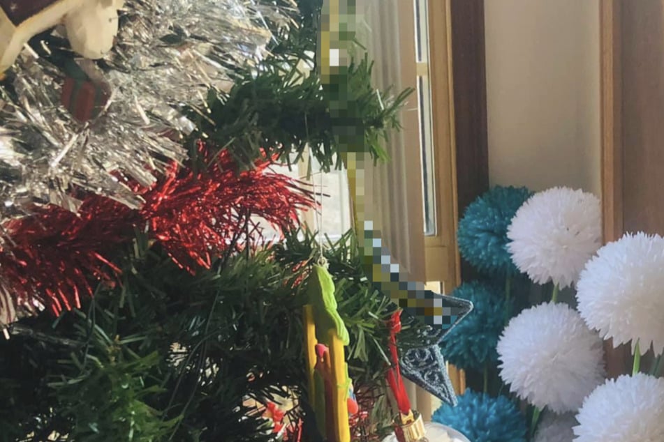 Woman is horrified when she sees what's hanging from her Christmas tree