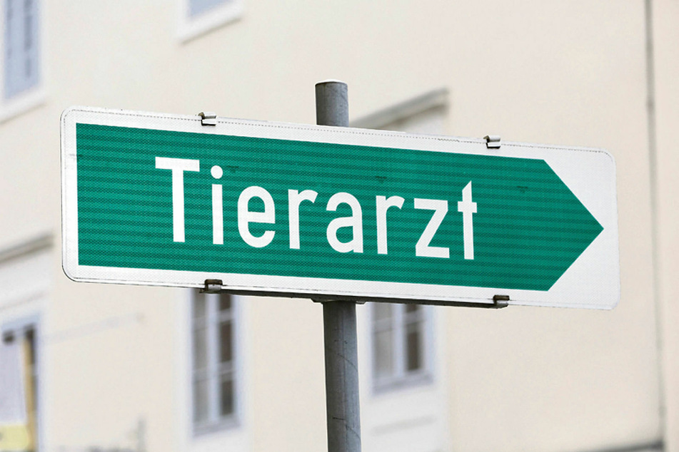 Der Erpressungsversuch bei einem Tierarzt ging schief.