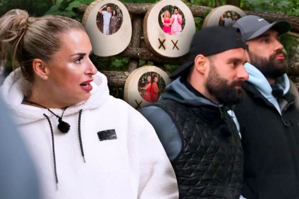 Mit dieser Nominierung hat keiner gerechnet: "Kleine Ratten" bringen alle gegen sich auf