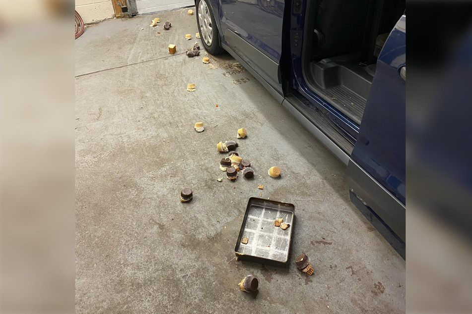 The owner shared the aftermath of the bear's visit on Instagram, saying it "destroyed 60 cupcakes [and] a bunch of coconut cake."