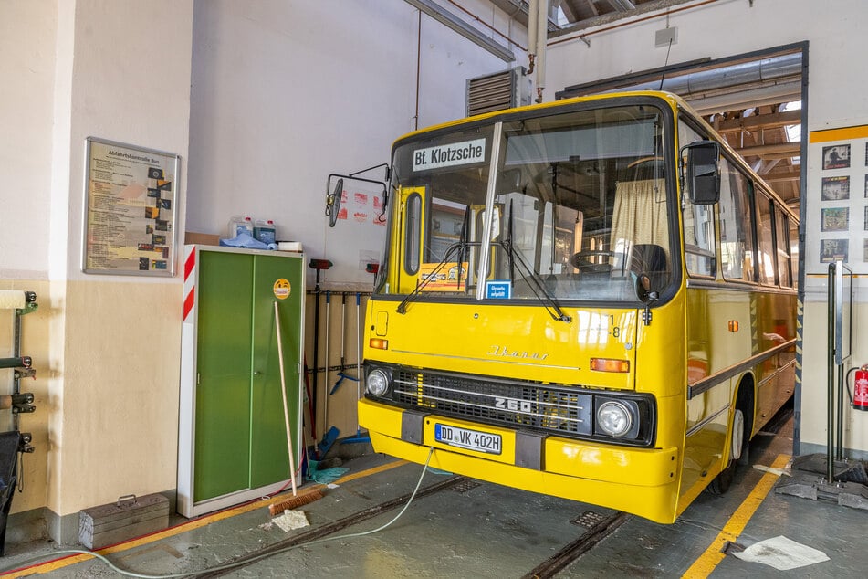 Busfreunde können sich in der kommenden Woche auf etwas ganz Besonderes freuen: Auf ausgewählten DVB-Linien kommen historische Omnibusse zum Einsatz.