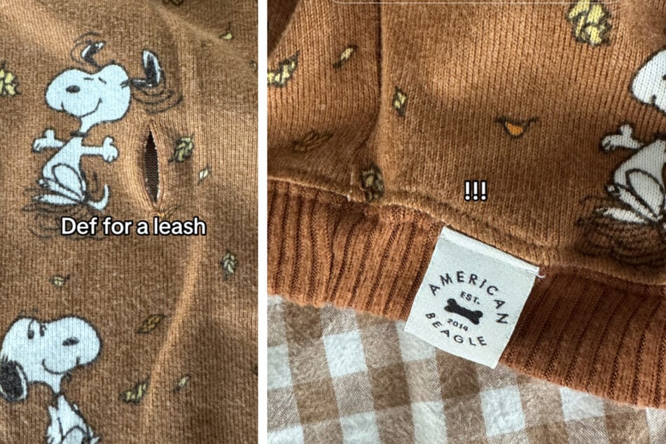 Später sollte sich herausstellen, dass es sich zwar um einen Pullover handelt - allerdings nur für Hunde.