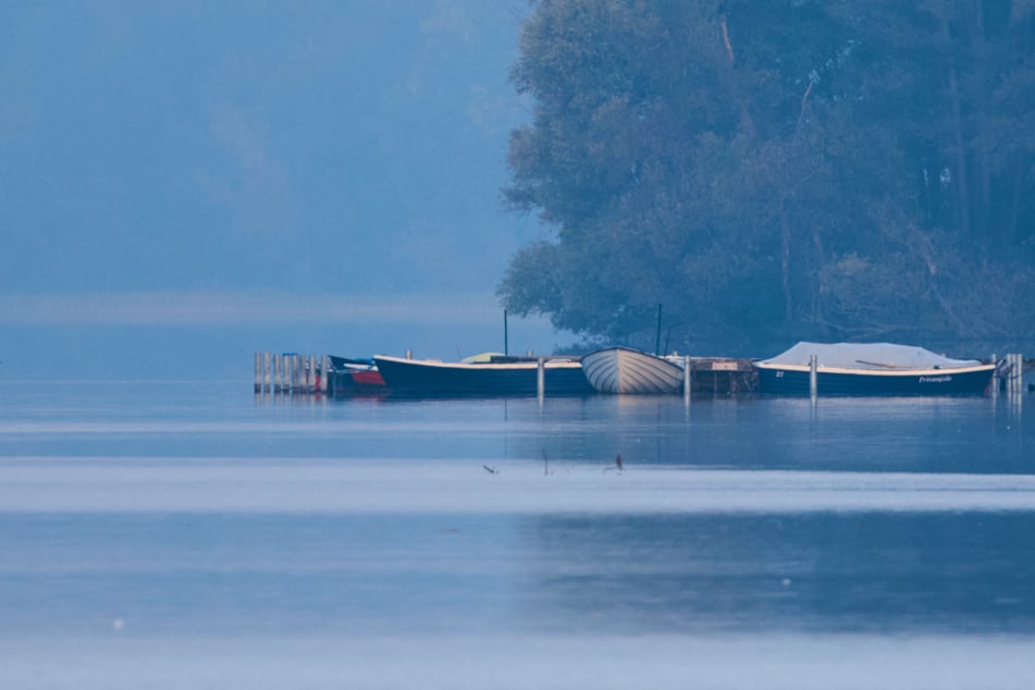 Dichter Nebel und Sprühregen: An Halloween wird auch das Wetter gruselig