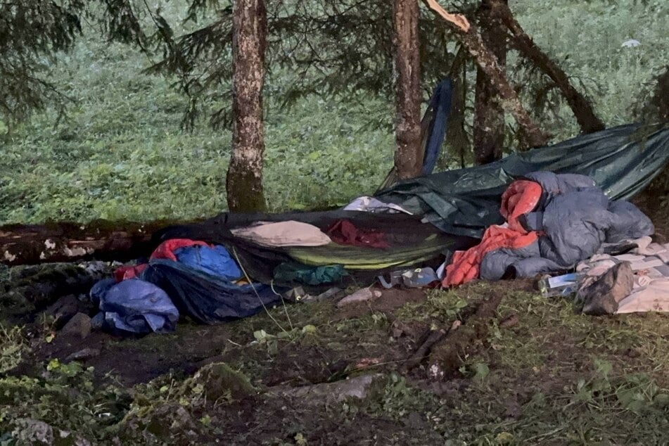 Die Frau wollte in einer Hängematte übernachten. Doch plötzlich stürzte der Baum um, an dem diese befestigt war.