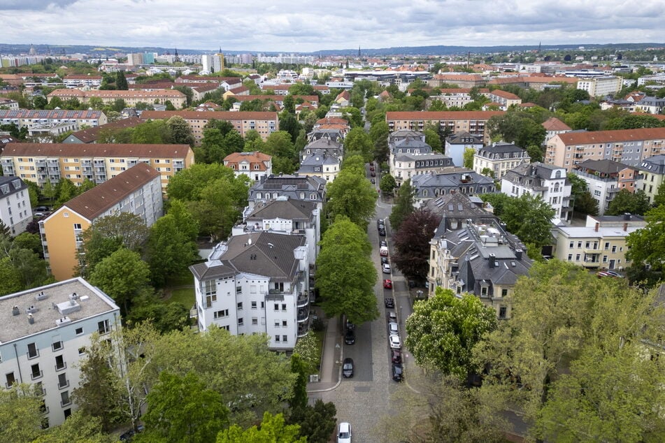 Entlang der Augsburger Straße sollen über 60 neue Bäume wachsen. In der kommenden Woche beginnen die Arbeiten dafür.