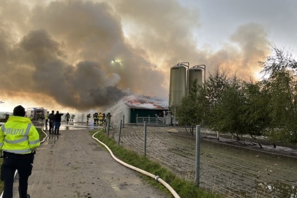 Riesige Rauchwolke: Millionenschaden durch Stallbrand