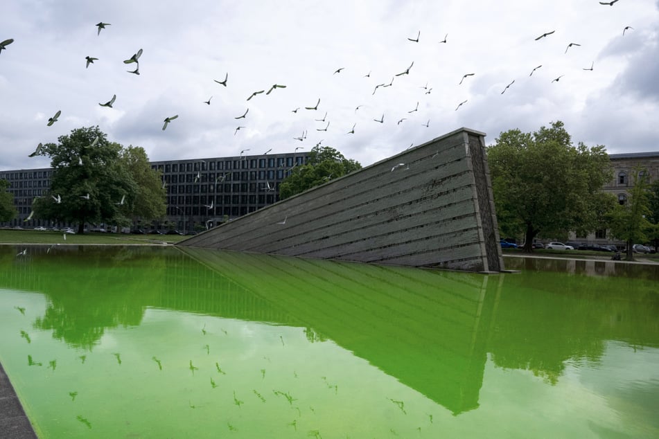 Die Gruppe "Extinction Rebellion" ist für die Verfärbung verantwortlich.