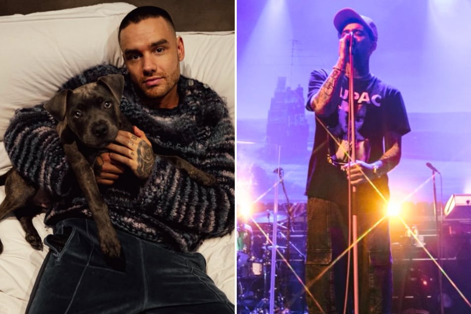 Zayn Malik pays tribute to "brother" Liam Payne at hometown show: "This is for you"