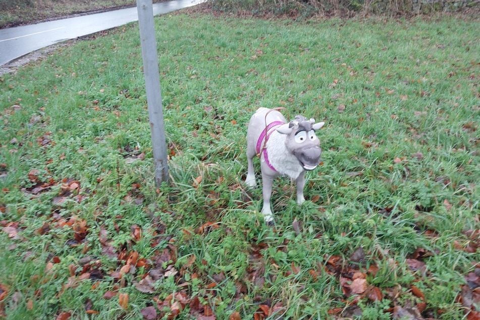 Der kleine Hund entpuppte sich schließlich als etwas völlig anderes.