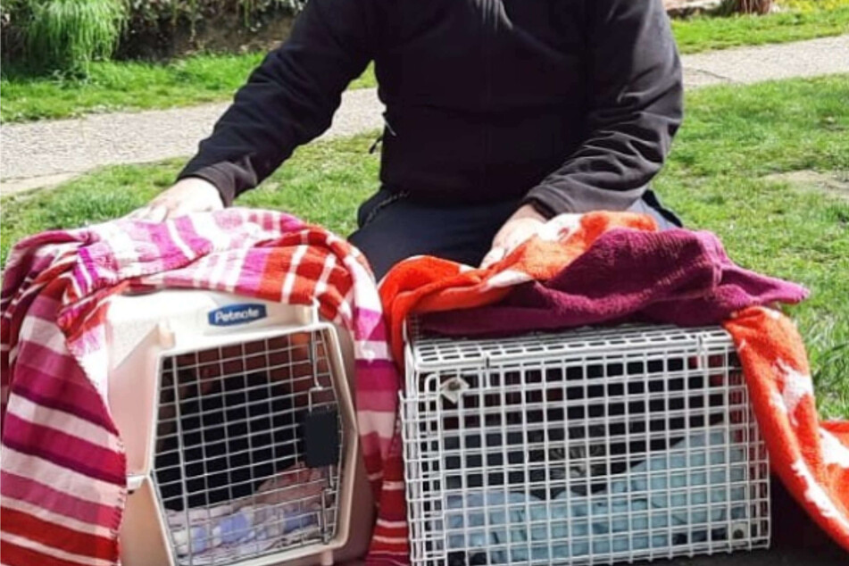 Am Samstag kamen zwei Katzen aus dem Tierheim Bergheim bei Köln lebenslänglich ins Gefängnis. Bei Instagram berichtete das Tierheim von den kuriosen Umständen.