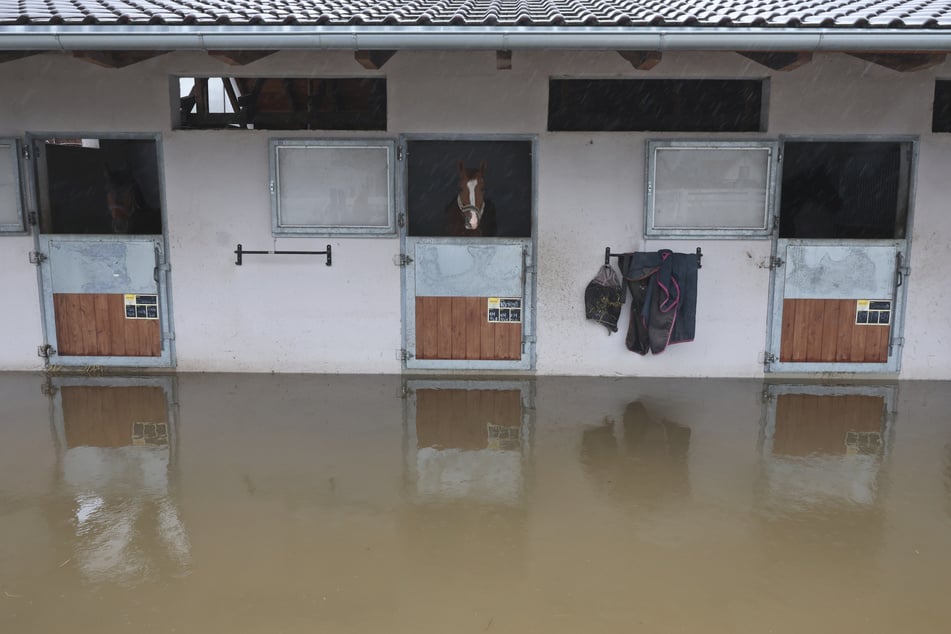 Das Landratsamt appellierte an die örtlichen Bauern, ihre Weidetiere in sicheren Ställen unterzubringen. Im bayerischen Babenhausen drang das Wasser derweil schon bis zu einem Reitstall vor.