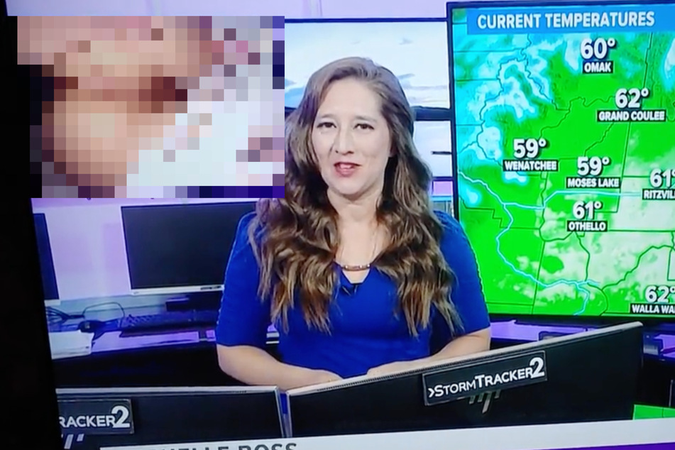 Ungewöhnliche Wettervorhersage: Am vergangenem Sonntag steht die Meteorologin Michelle Boss vor einem Porno.