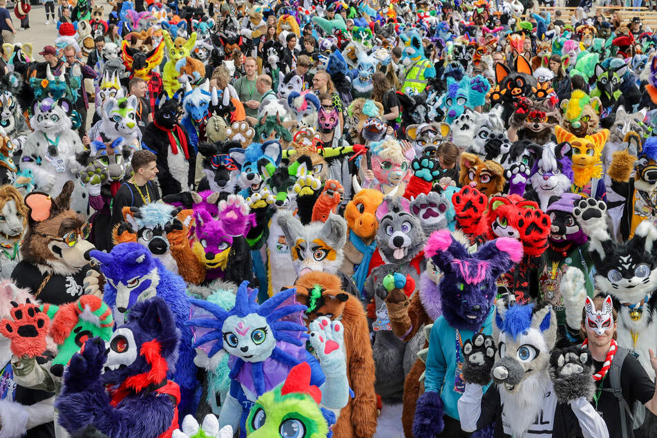 Rund 6500 Besucher werden bei dem großen Treffen der Furry-Fans in Hamburg erwartet.