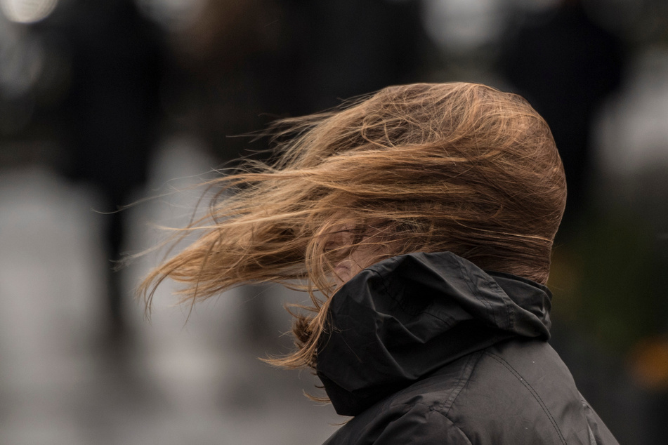 Spaziergang am Wochenende geplant? Dann solltet Ihr Euch auf lustige Sturmfrisuren einstellen! (Symbolbild)