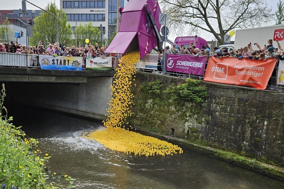 Tausende kleiner Gummienten schwimmen auf dem Wehrneckarkanal um die Wette.