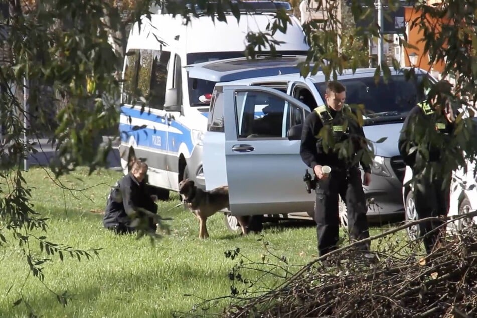Auch Spürhunde kommen am Montag auf dem Grundstück im Einsatz.